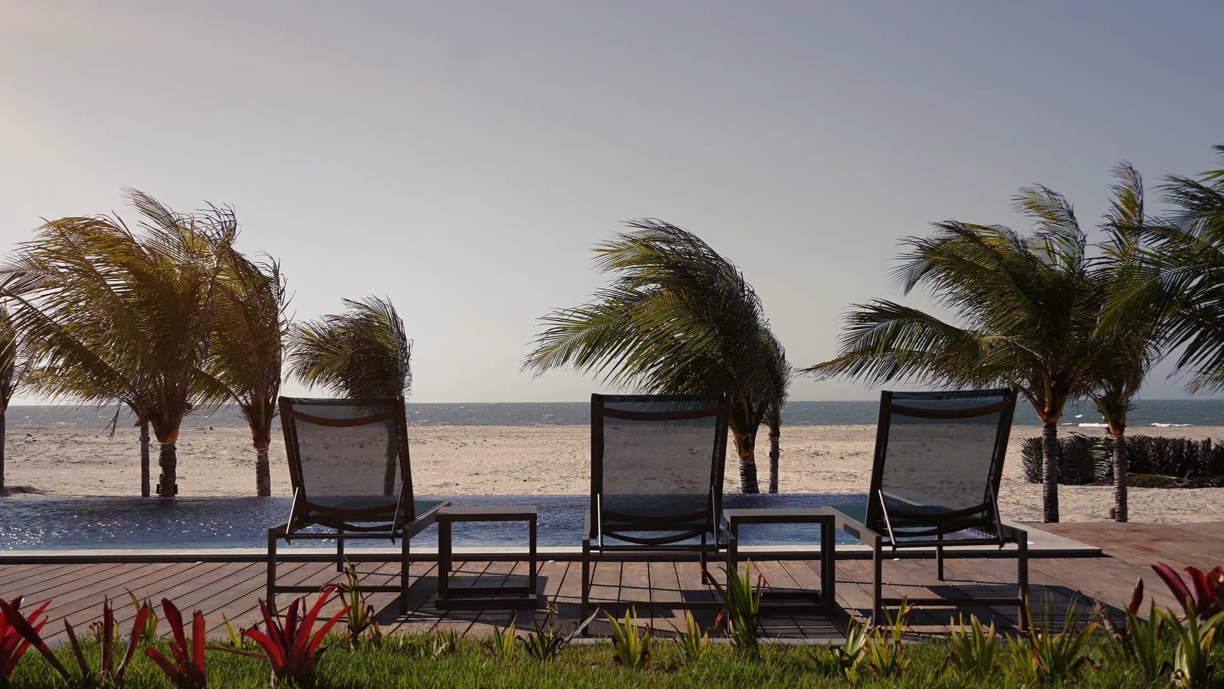 Loungers by the pool, facing the sea